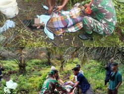 Diduga Sakit dan Kelaparan, Wanita Ini Ditemukan di Dalam Kebun Sawit dan Meninggal di RS