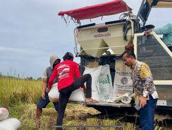 Pertanian di Kampar Sudah Terapkan Sistem Modern Untuk Program Ketahanan Pangan