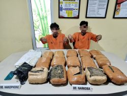 Dipasok Dari Sumut, 15 Kg Ganja Kering dan 2 Tersangka Diamankan Polres Kampar
