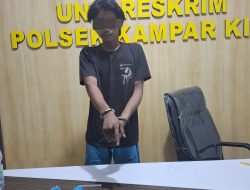 Digrebek di Kebun Sawit, Warga Kebun Durian Ditangkap Polsek Kampar Kiri