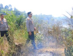 Tim Gabungan Padamkan Karhutla 2 Hektare di Perbatasan Kampar-50 Kota, Kapolres Kampar Terjun Langsung!