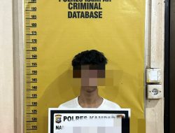 Asyik Main Layang-layang, Terduga Pelaku Pencabulan Ditangkap Satreskrim Polres Kampar