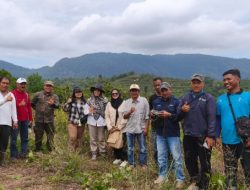 Tegas!! Kelompok HKM Alam Mahligai Bersama Balai BPS Kampar Perangi Sawit Ilegal Dalam Kawasan Hutan