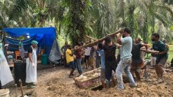 Polsek Tapung dan Tim Forensik Bongkar Makam Antoni Tampubolon, Ungkap Misteri Kematian di Jalan Poros!