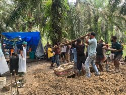 Polsek Tapung dan Tim Forensik Bongkar Makam Antoni Tampubolon, Ungkap Misteri Kematian di Jalan Poros!