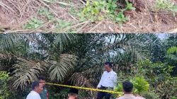 Sempat Digigit Anjing, Bayi Laki-laki Yang Dibuang di Desa Sungai Pinang Tewas