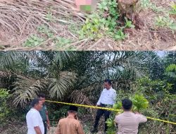 Sempat Digigit Anjing, Bayi Laki-laki Yang Dibuang di Desa Sungai Pinang Tewas