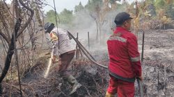 Karhutla di Kampar Nyaris Hanguskan Perumahan, Kapolres: Prioritaskan Keselamatan Warga!