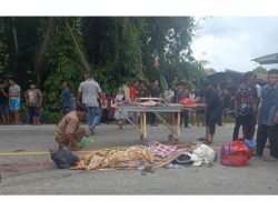 Dua Saudara Kandung Tewas di Gilas Truk Saat Mendahului Truk Hino