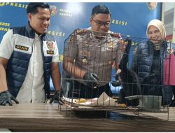 Satwa Dilindungi Dijual 8 Juta, Warga Desa Salo Ditangkap Polres Kampar!