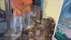 Maling Sawit Dua Warga Desa Alam Panjang Ditangkap Warga, Lalu di Serahkan ke Polsek Kampar