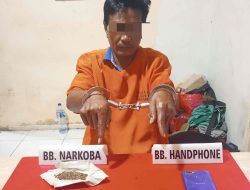 Pemakai Daun Ganja Kering Ditangkap di Simpang Panca Salo, Begini Kronologisnya!