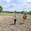 Polsek Tambang Dukung Swasembada Pangan, Tinjau Kebun Jagung Warga di Sungai Pinang