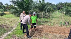Bhabinkamtibmas Polsek Tambang Cek Tumbuh Kembang Tanaman Jagung Warga
