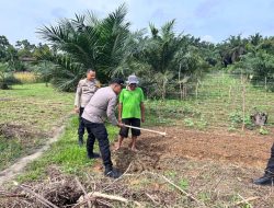 Bhabinkamtibmas Polsek Tambang Cek Tumbuh Kembang Tanaman Jagung Warga