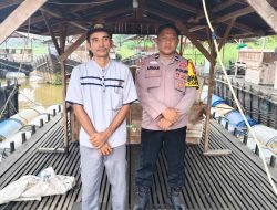Budidaya Ikan Tapah Menjanjikan Untuk Mendukung Ketahanan Pangan 