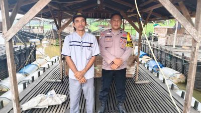 Budidaya Ikan Tapah Menjanjikan Untuk Mendukung Ketahanan Pangan 