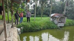 Dukung Ketahanan Pangan, Bhabinkamtibmas Sambangi Sektor Perikanan Ikan Patin