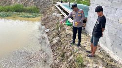 Budi Daya Ikan Patin Jadi Sektor Ketahanan Pangan Yang Menjanjikan Bagi Masyarakat Desa Palung Raya