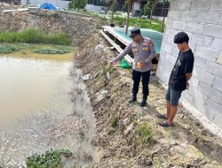 Budi Daya Ikan Patin Jadi Sektor Ketahanan Pangan Yang Menjanjikan Bagi Masyarakat Desa Palung Raya