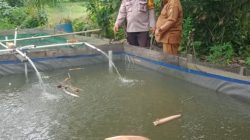 Bhabinkamtibmas Desa Padang Luas Sambang Kolam Ikan Nila dan Dukung Ketahanan Pangan