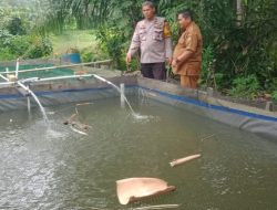 Bhabinkamtibmas Desa Padang Luas Sambang Kolam Ikan Nila dan Dukung Ketahanan Pangan