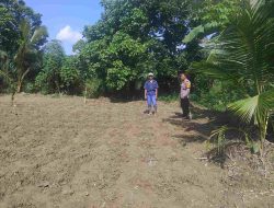 Tinjau Perkembangan Tanaman Jagung Manis, Bhabinkamtibmas Sungai Tarap Ajak Dukung Program Asta Cita