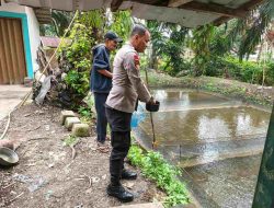 Polsek Tambang Dukung Budi Daya Ikan Tawar, Tingkatkan Ketahanan Pangan Nasional