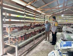 Sambangi Peternakan Ayam Petelur, Tingkatkan Ketahanan Pangan, Ini Harapan Bhabinkamtibmas Desa Pulau Rambai