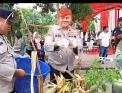 Dukung Program Ketahanan Pangan Polsek Kampar Bersama Polres Kampar Gelar Panen Jagung Serentak di Desa Ranah Singkuang