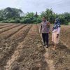 Cek Pertumbuhan Tanaman Timun, Bhabinkamtibmas Desa Sungai Tarap Dukung Program Asta Cita 