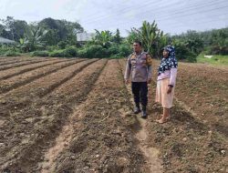Cek Pertumbuhan Tanaman Timun, Bhabinkamtibmas Desa Sungai Tarap Dukung Program Asta Cita 