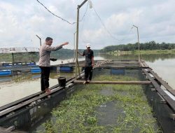 Bimbing Petani Ikan di Gobah, Kanit Binmas Polsek Tambang Harap Dukung Ketahanan Pangan Nasional 