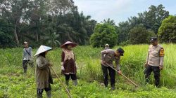 Kanit Binmas Polsek Tambang Sambangi Petani Kacang Dalam Rangka Dukung Ketahanan Pangan