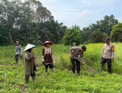 Kanit Binmas Polsek Tambang Sambangi Petani Kacang Dalam Rangka Dukung Ketahanan Pangan