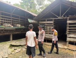 Dukung Asta Cita Presiden, Polsek Tambang Sambangi Warga dan Cek Perkembangan Ternak Kambing