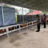 Ayam Kampung Jadi Andalan, Bhabinkamtibmas Desa Gobah Pantau Ternak Warga Penopang Ketahanan Pangan
