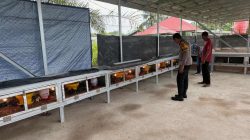 Ayam Kampung Jadi Andalan, Bhabinkamtibmas Desa Gobah Pantau Ternak Warga Penopang Ketahanan Pangan