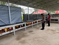Ayam Kampung Jadi Andalan, Bhabinkamtibmas Desa Gobah Pantau Ternak Warga Penopang Ketahanan Pangan