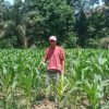 Bhabinkamtibmas Desa Padang Luas Ajak Petani Jagung Manfaatkan dan Memperdaya Sumber Daya Yang Ada Dilingkungan 