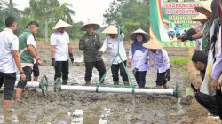 Bupati Kampar Canangkan Gerakan Tanam PADI Sawah Di Gapoktan Karya Indah Desa Empat Balai, Dorong Swasembada Pangan Dan Modernisasi Pertanian