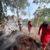 Hadapi Karhutla Lahan Gambut 5 Hektar di Rimbo Panjang, Polres Kampar Kerahkan Tim Gabungan & Dukungan Helikopter