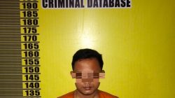 Larikan Remaja, Pria 31 Tahun di Tambang di Tangkap Polsek Siak Hulu