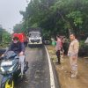 Respon Cepat Polsek Kampar: Pohon Tumbang Akibat Angin Kencang di Km 54 Langsung Dibereskan, Jalan Kembali Normal
