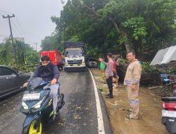Respon Cepat Polsek Kampar: Pohon Tumbang Akibat Angin Kencang di Km 54 Langsung Dibereskan, Jalan Kembali Normal
