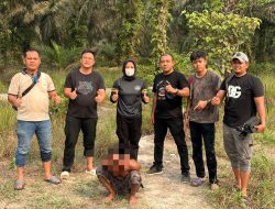 Polsek Tapung Hilir Amankan Pria di Kota Garo, 6 Paket Diduga Sabu Seberat 1,48 Gram Disita