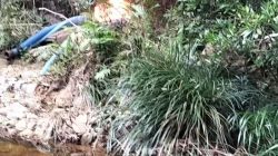 Polsek Kampar Kiri Tertibkan PETI di Sungai Batang Bio Desa Tanjung Permai 