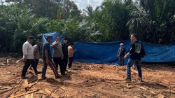 Respon Cepat Polsek Perhentian Raja Lakukan Pengecekan Terkait Berita Viral Terkait Aktivitas Sawmill Ilegal